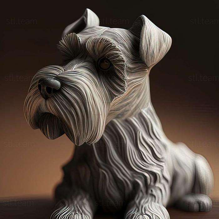 Animals Zwergschnauzer dog